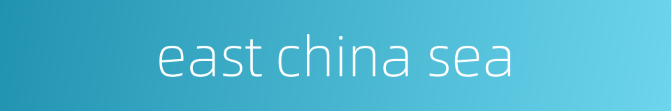 east china sea的同义词
