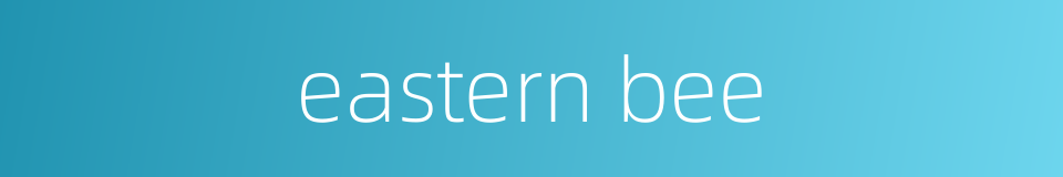 eastern bee的同义词