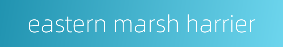 eastern marsh harrier的同义词