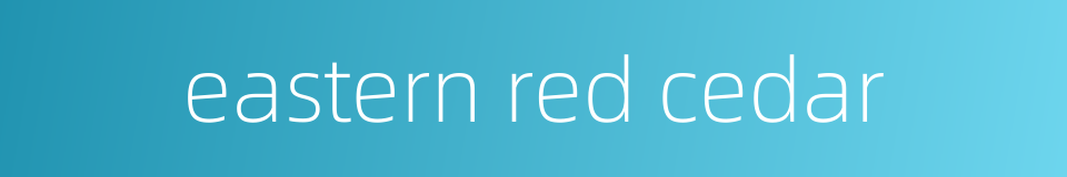 eastern red cedar的同义词
