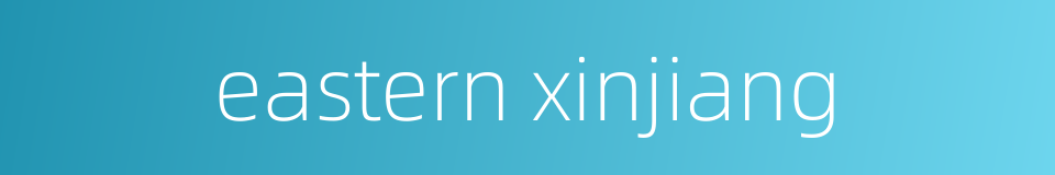 eastern xinjiang的同义词