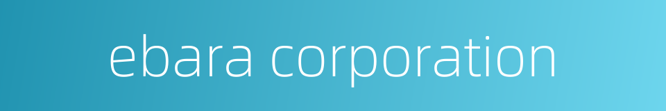 ebara corporation的同义词
