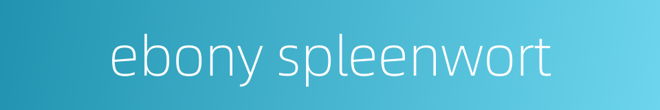 ebony spleenwort的同义词