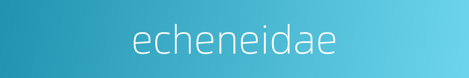 echeneidae的同义词