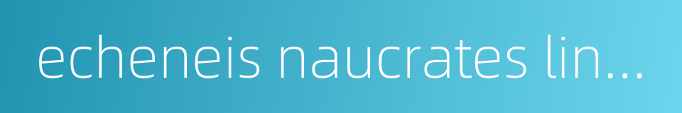 echeneis naucrates linnaeus的同义词