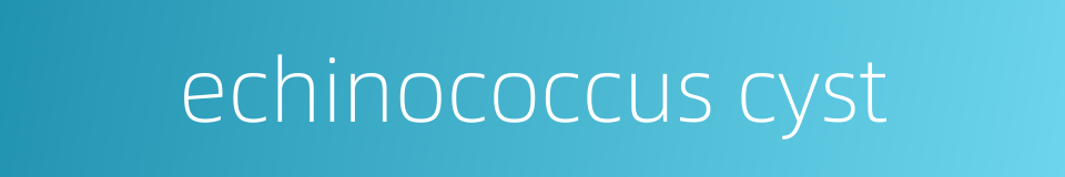 echinococcus cyst的同义词