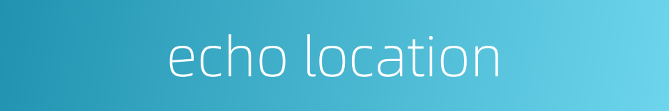 echo location的同义词