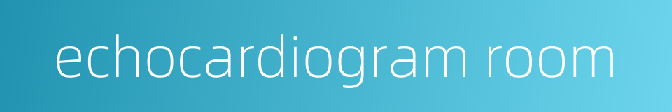 echocardiogram room的同义词