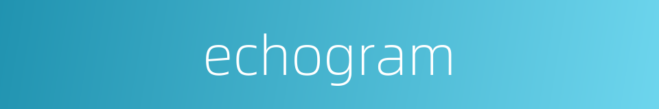 echogram的同义词