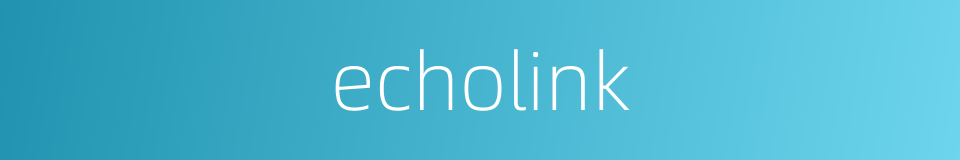 echolink的同义词