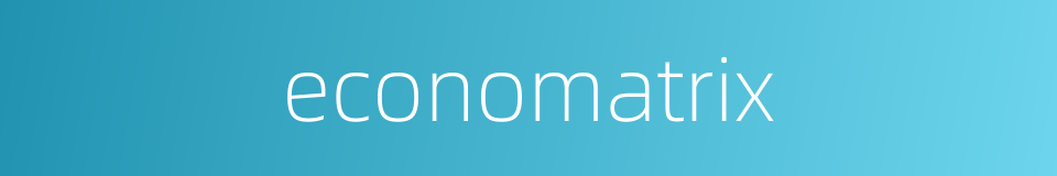 economatrix的同义词