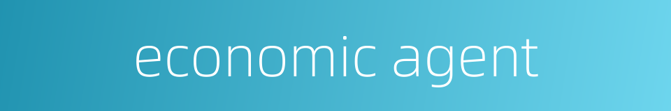 economic agent的同义词