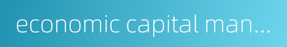 economic capital management的同义词