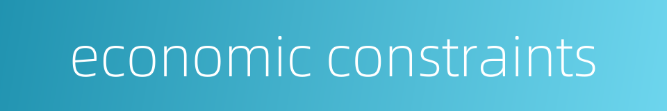 economic constraints的同义词