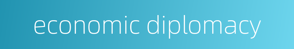 economic diplomacy的同义词