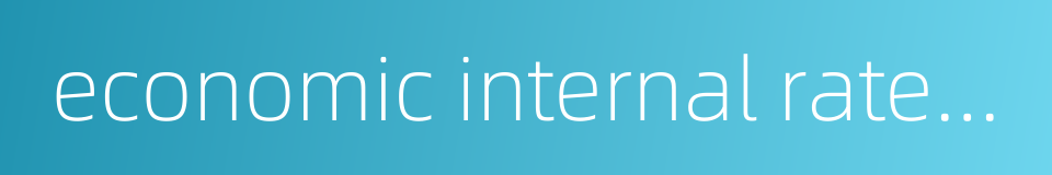 economic internal rate of return的同义词