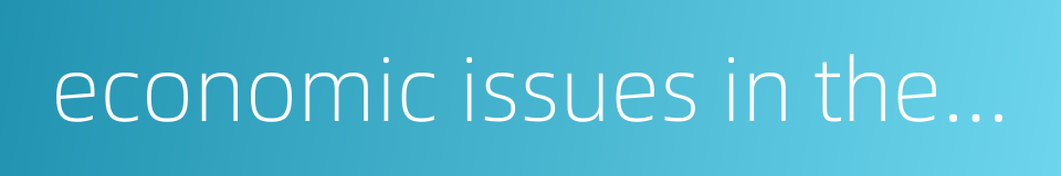 economic issues in the united states的同义词