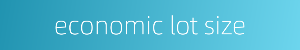 economic lot size的同义词