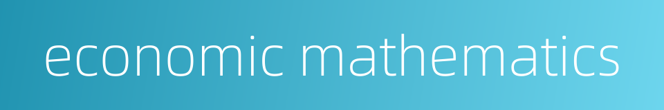 economic mathematics的同义词