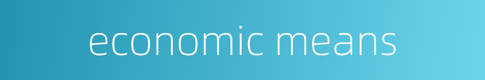 economic means的同义词