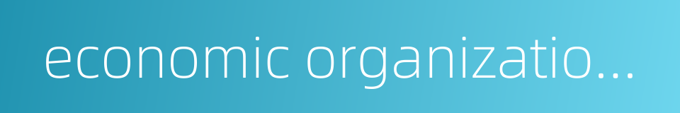 economic organization structure的同义词