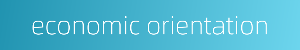 economic orientation的同义词