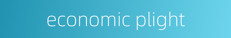 economic plight的同义词