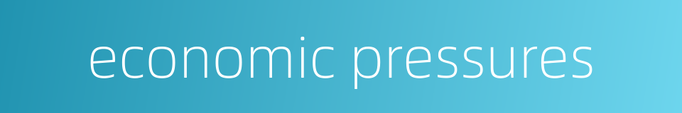 economic pressures的同义词