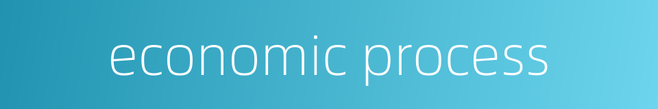 economic process的同义词