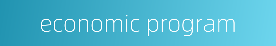 economic program的同义词