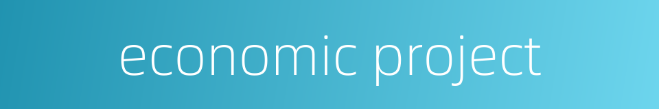 economic project的同义词