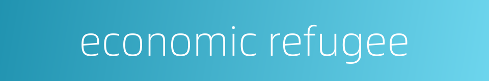 economic refugee的同义词