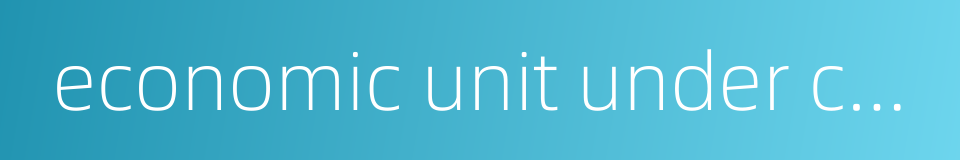 economic unit under collective ownership的同义词