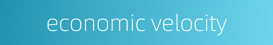 economic velocity的同义词