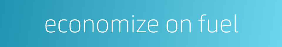 economize on fuel的同义词