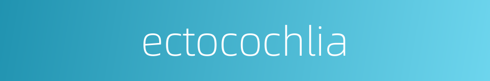 ectocochlia的同义词
