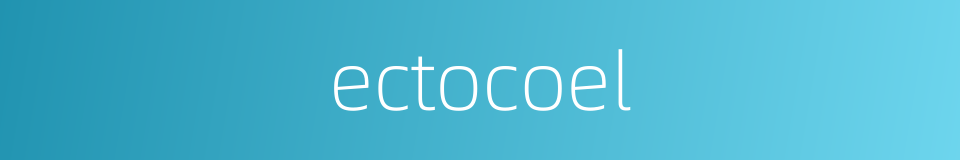 ectocoel的同义词