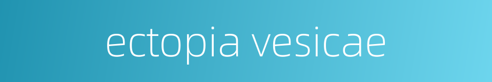 ectopia vesicae的同义词