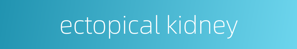 ectopical kidney的同义词