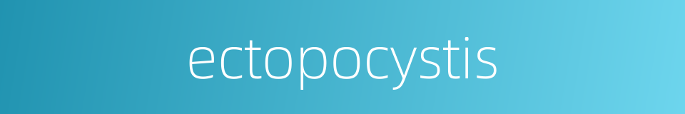 ectopocystis的同义词
