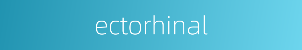 ectorhinal的同义词
