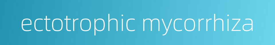 ectotrophic mycorrhiza的同义词