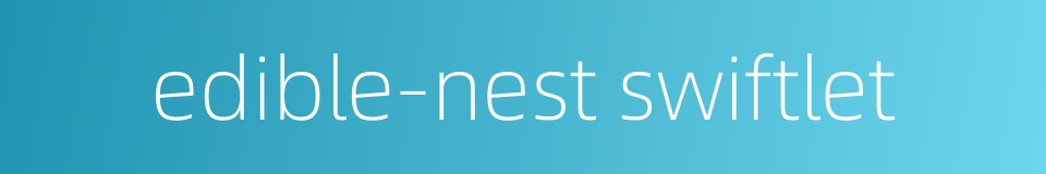 edible-nest swiftlet的同义词