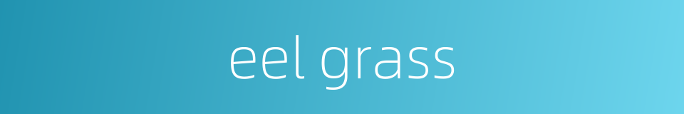 eel grass的同义词