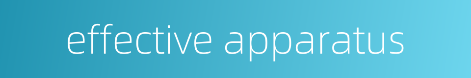 effective apparatus的同义词