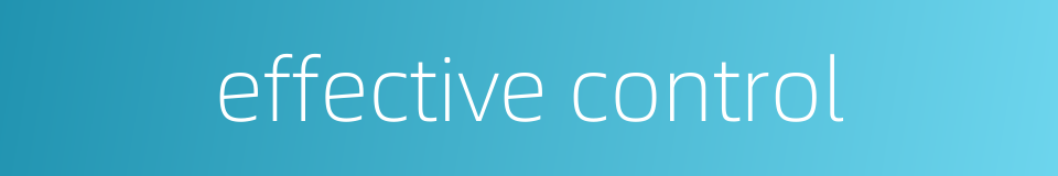 effective control的同义词