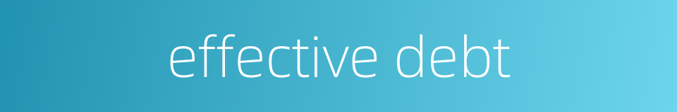 effective debt的同义词