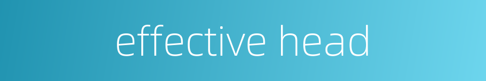 effective head的同义词
