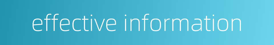 effective information的同义词