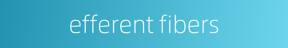 efferent fibers的同义词
